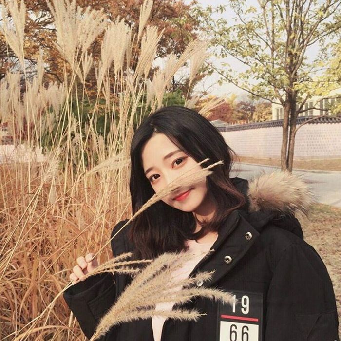 四乃森苍紫（身份：御庭番众前任首领、“天才忍者”） - 恐怖电影无删减在线观看 - 在线看视频